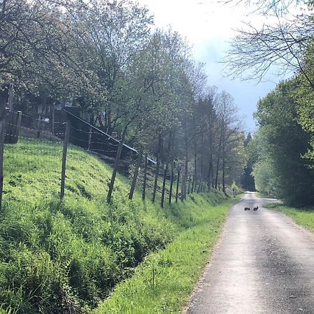 A L'Oree De Soi - Maison Forestiere De La Soie - Eco Gite, Chambres D'Hotes, Camping Au Pied Des Vosges Saint-Sauveur  Εξωτερικό φωτογραφία