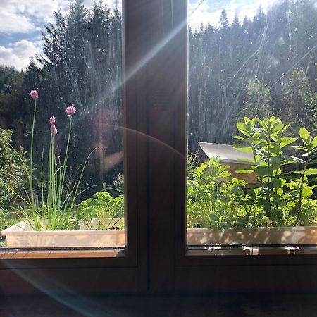 A L'Oree De Soi - Maison Forestiere De La Soie - Eco Gite, Chambres D'Hotes, Camping Au Pied Des Vosges Saint-Sauveur  Εξωτερικό φωτογραφία