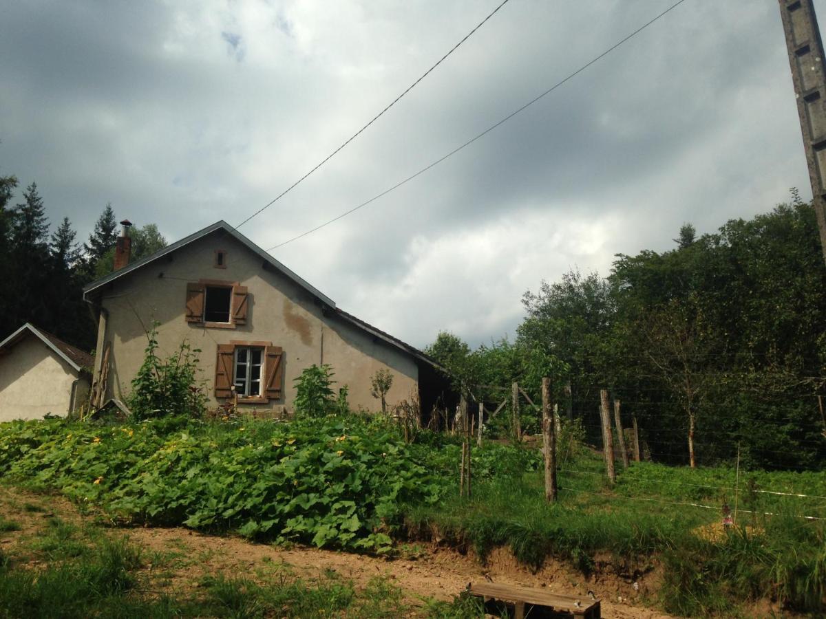 A L'Oree De Soi - Maison Forestiere De La Soie - Eco Gite, Chambres D'Hotes, Camping Au Pied Des Vosges Saint-Sauveur  Εξωτερικό φωτογραφία