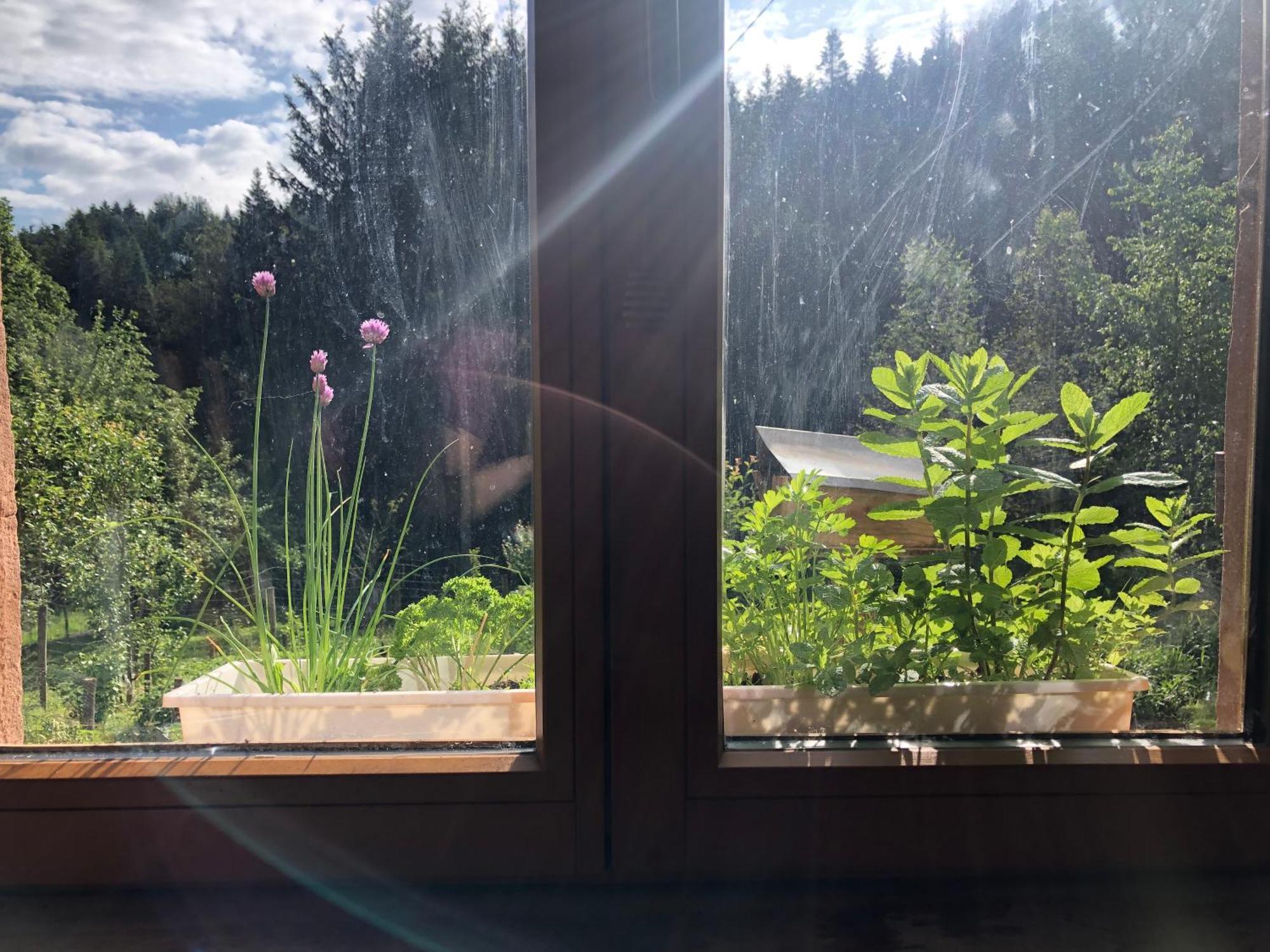 A L'Oree De Soi - Maison Forestiere De La Soie - Eco Gite, Chambres D'Hotes, Camping Au Pied Des Vosges Saint-Sauveur  Εξωτερικό φωτογραφία
