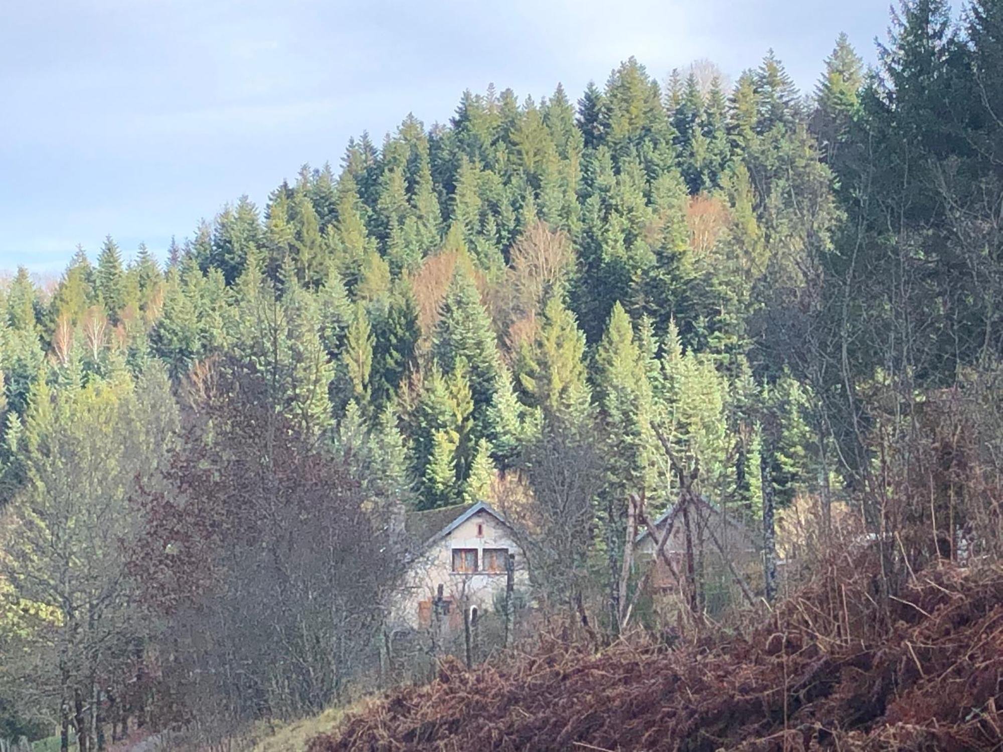 A L'Oree De Soi - Maison Forestiere De La Soie - Eco Gite, Chambres D'Hotes, Camping Au Pied Des Vosges Saint-Sauveur  Εξωτερικό φωτογραφία