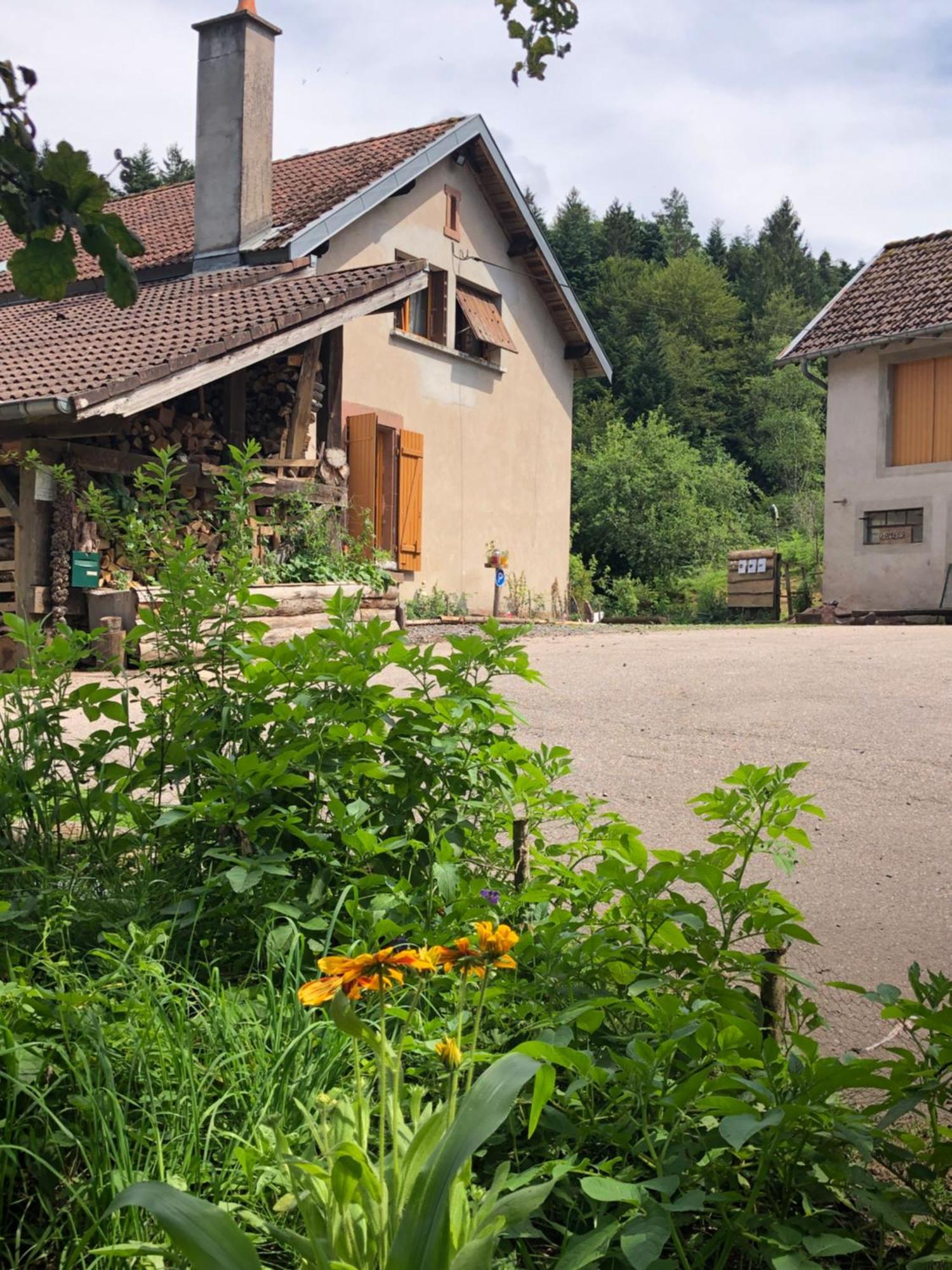 A L'Oree De Soi - Maison Forestiere De La Soie - Eco Gite, Chambres D'Hotes, Camping Au Pied Des Vosges Saint-Sauveur  Εξωτερικό φωτογραφία