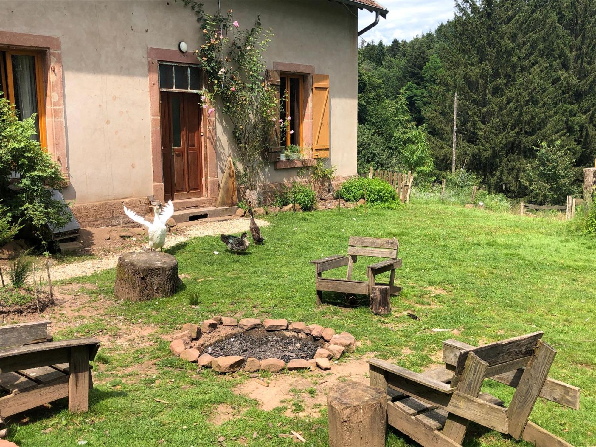 A L'Oree De Soi - Maison Forestiere De La Soie - Eco Gite, Chambres D'Hotes, Camping Au Pied Des Vosges Saint-Sauveur  Εξωτερικό φωτογραφία