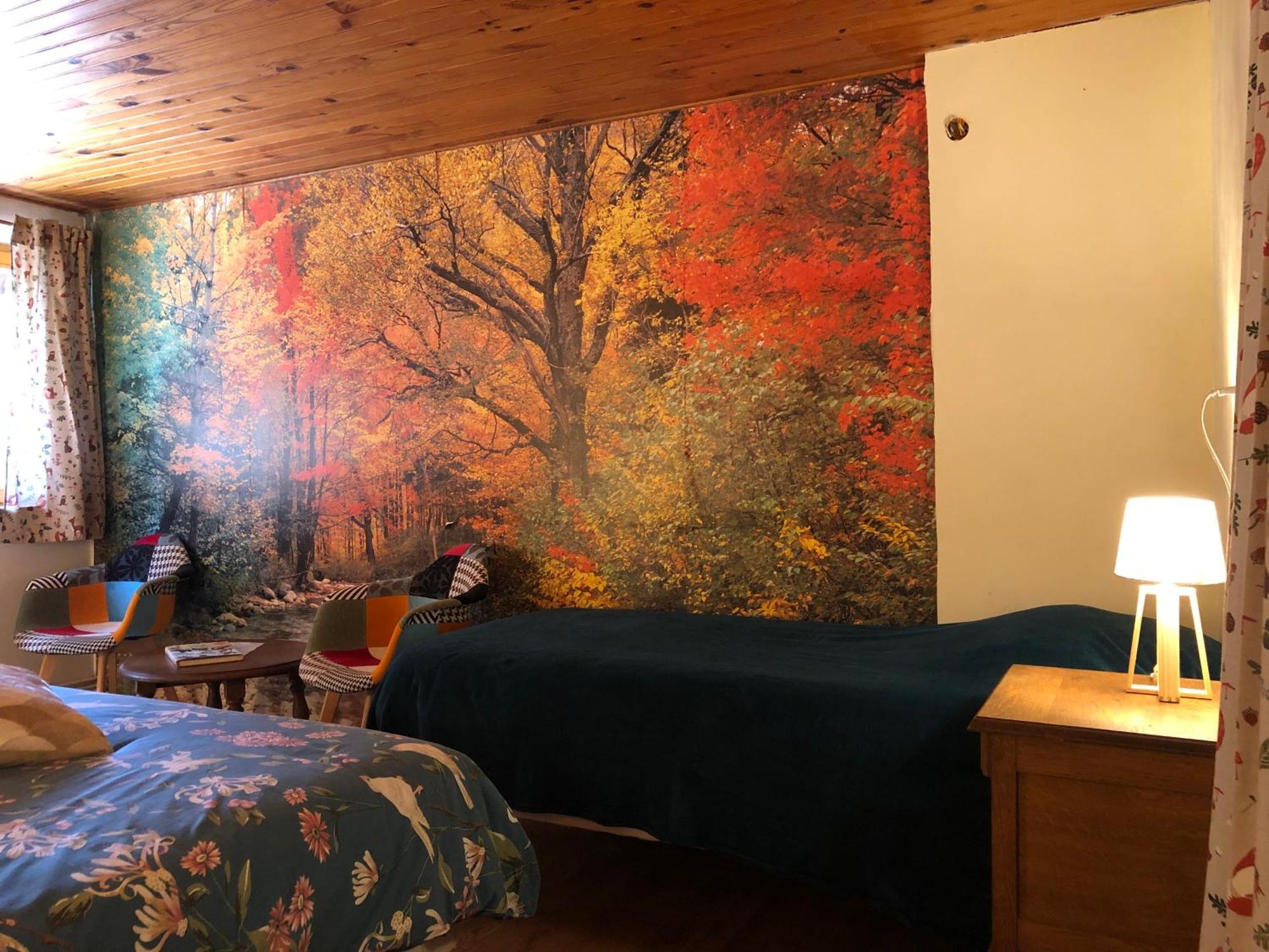 A L'Oree De Soi - Maison Forestiere De La Soie - Eco Gite, Chambres D'Hotes, Camping Au Pied Des Vosges Saint-Sauveur  Εξωτερικό φωτογραφία